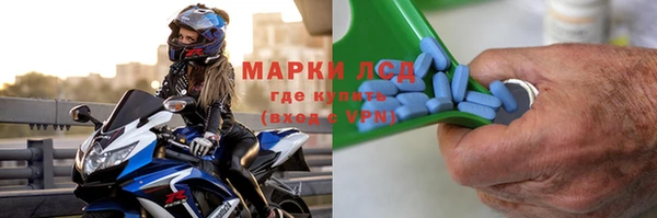 прущие крисы Тайга