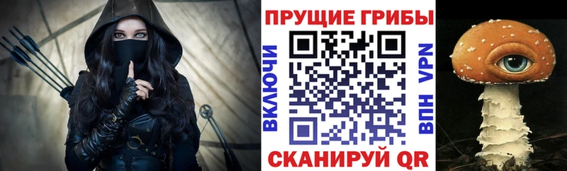 Купить закладки  Тайшет  Псилоцибиновые грибы мухоморы 